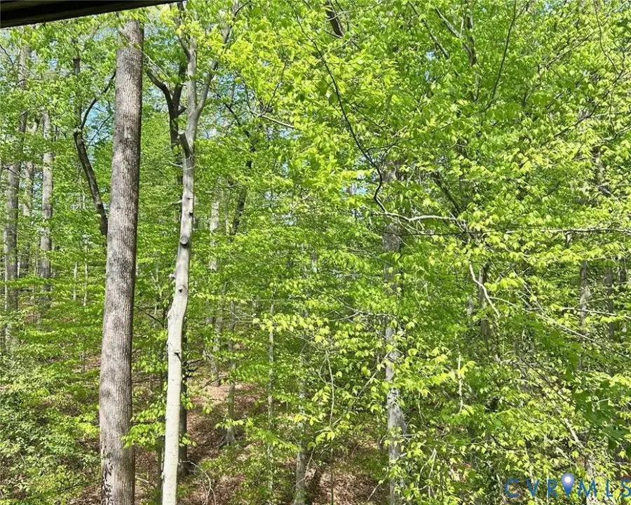 10396 Iron Mill Road, North Chesterfield, VA 23235 - Image #3