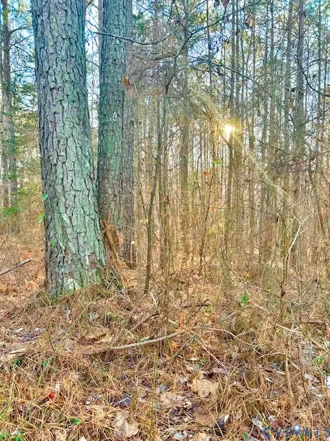 19331 River Road, Chesterfield, VA 23838