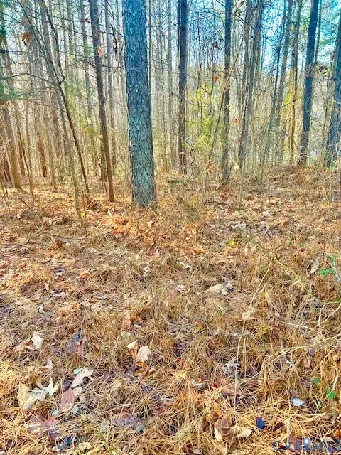 19331 River Road, Chesterfield, VA 23838 - Image #3