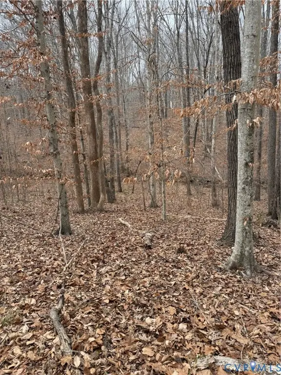 00 Bell Road, Powhatan, VA 23139