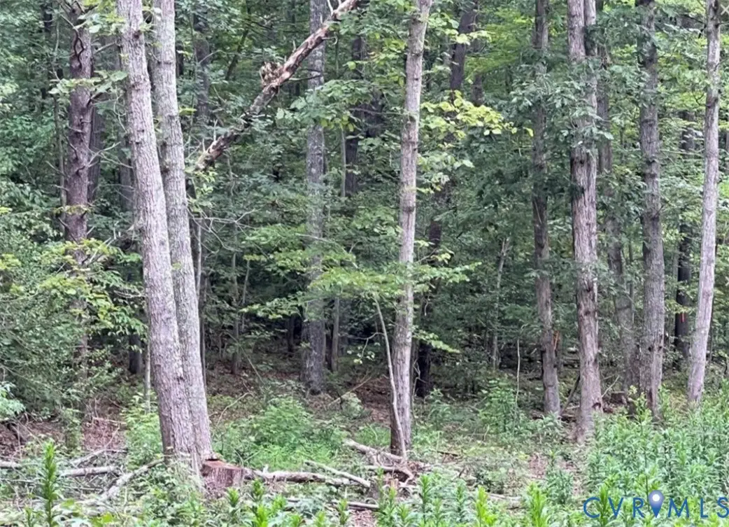 00 Ware Road, Quinton, VA 23141 - Image #1