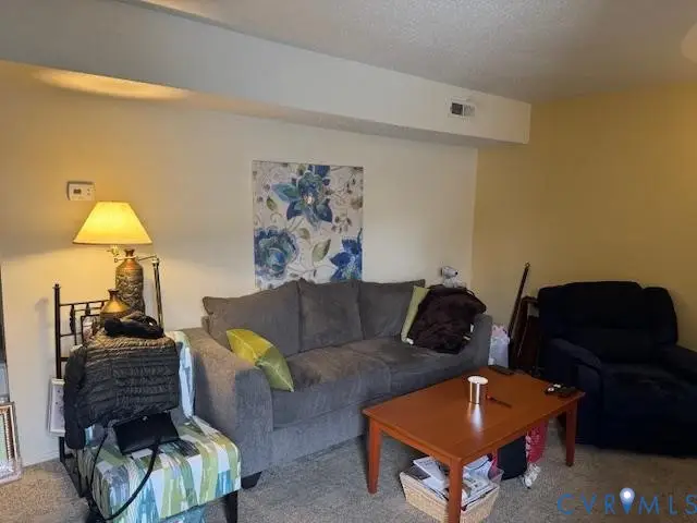 307 Bernie Court, Henrico, VA 23075 - Image #3