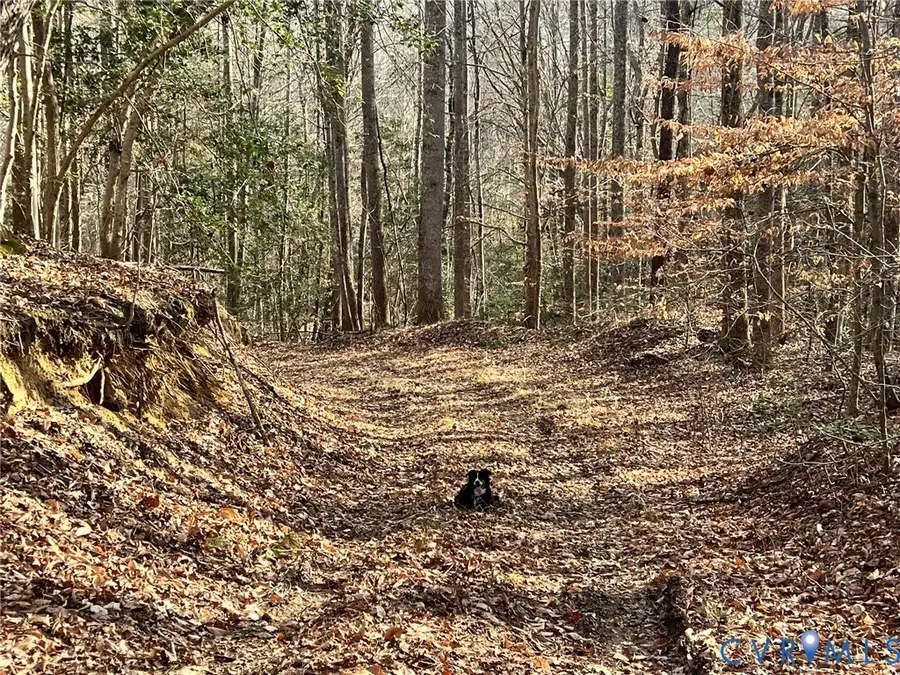 0 Tunstall Road, New Kent, VA 23124 - Image #3