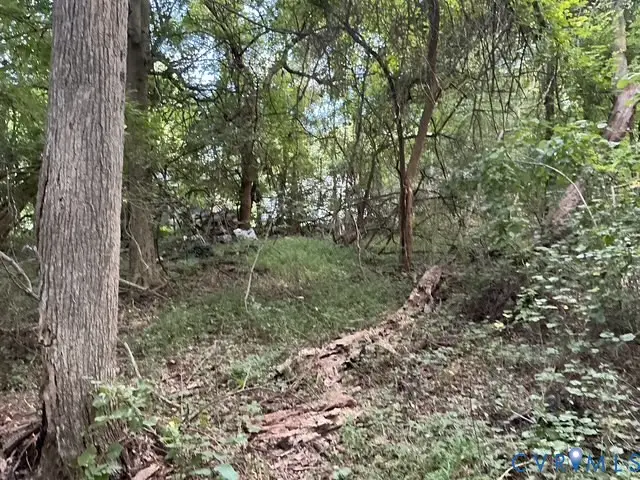 350 Youngs Road, Petersburg, VA 23803 - Image #2