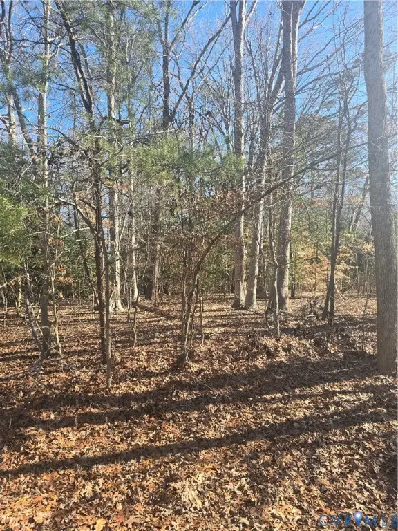 102 Brookhaven Drive, Williamsburg, VA 23188 - Image #2