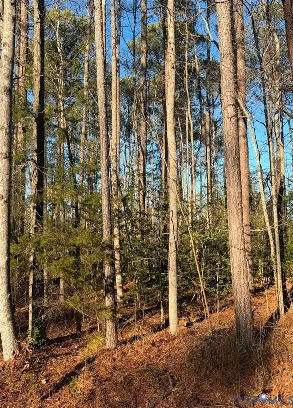 119 American Drive, Ruther Glen, VA 22546