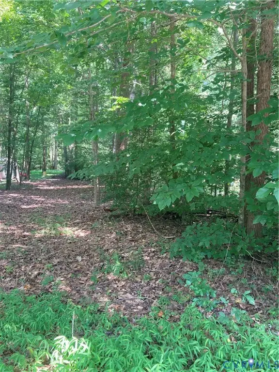 TBD Old Quarter Lane, New Kent, VA 23124 - Image #1