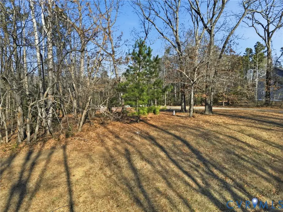358 Poplar Springs Drive, Central, VA 22560 - Image #2
