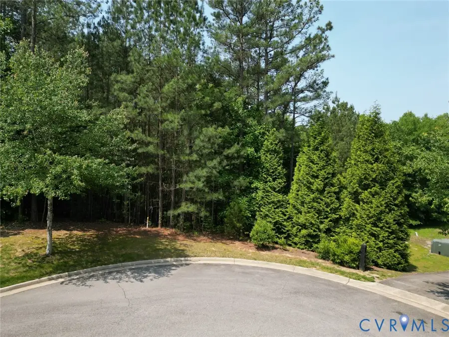 16151 Founders Bridge Terrace, Midlothian, VA 23113 - Image #2