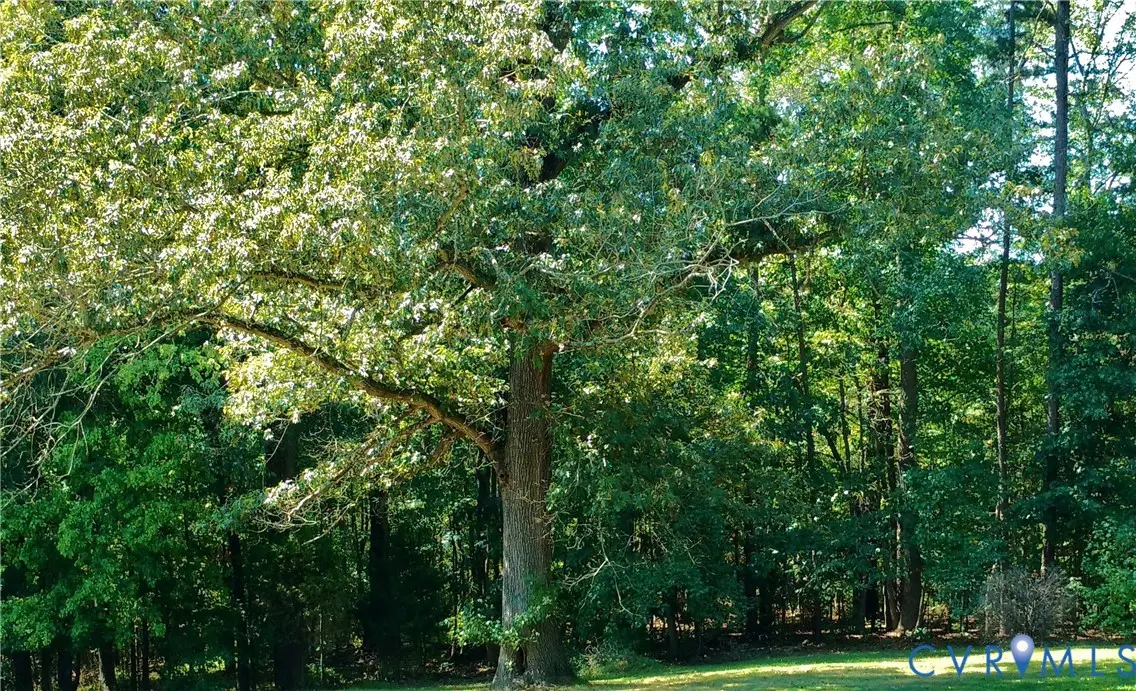 8.47 Acres Patrick Henry Highway, Jetersville, VA 23083 - #1