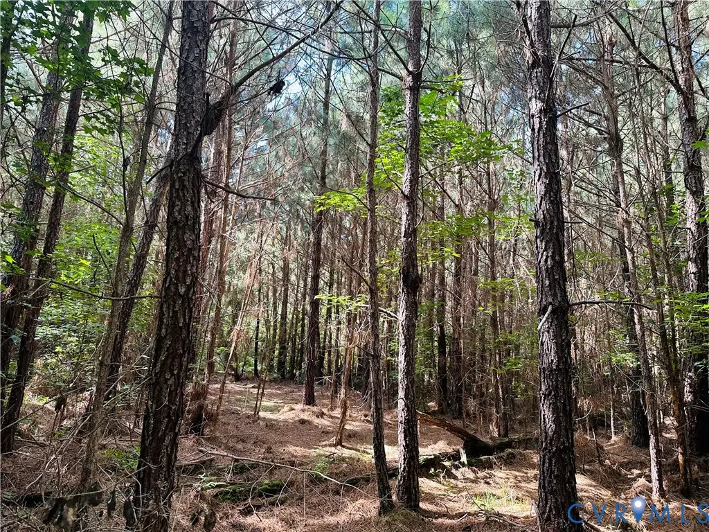 00 Parcel B Turnpike Rd, Bohannon, VA 23021 - #1