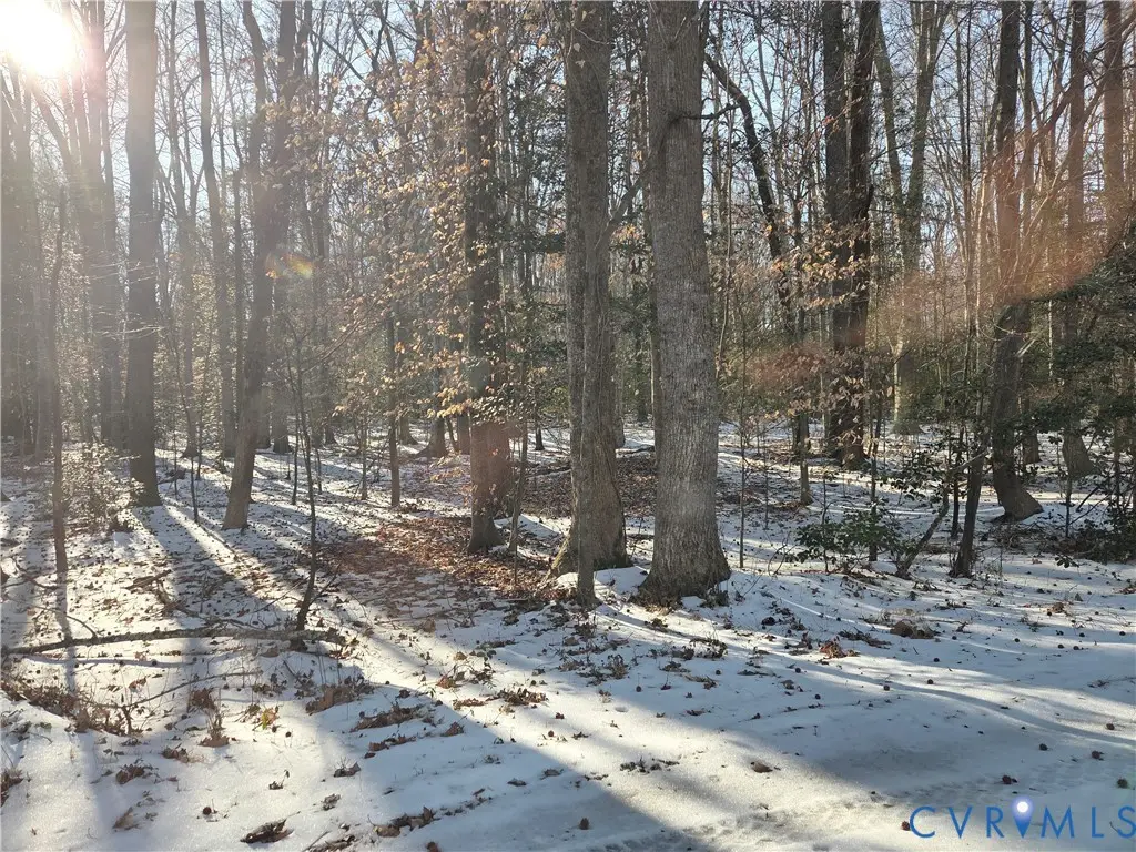 Address Withheld By Seller, King William, VA 23181 - #1