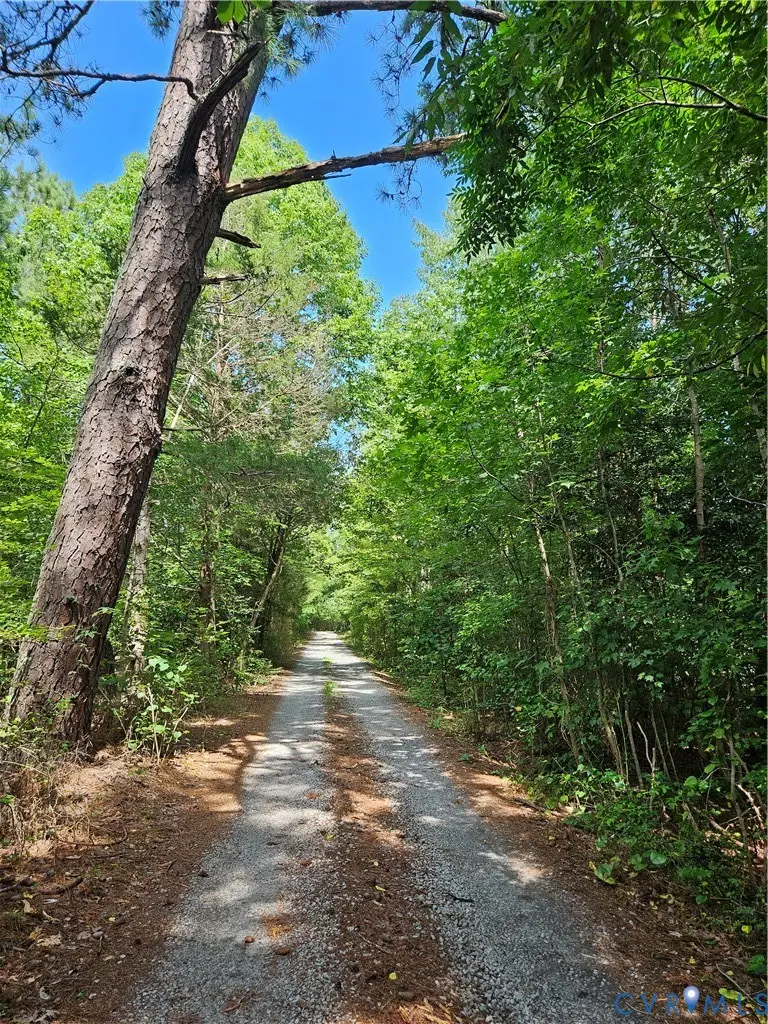 154 King Bee Trail, Meherrin, VA 23920 - #1