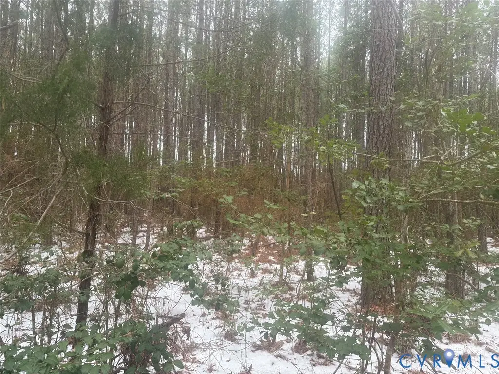 TBD Sandy Point, Charles City, VA 23030 - Image #1