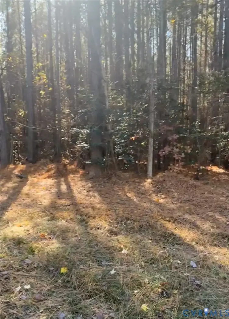 TBD Wilcox Neck Rd, Charles City, VA 23030 - Image #3