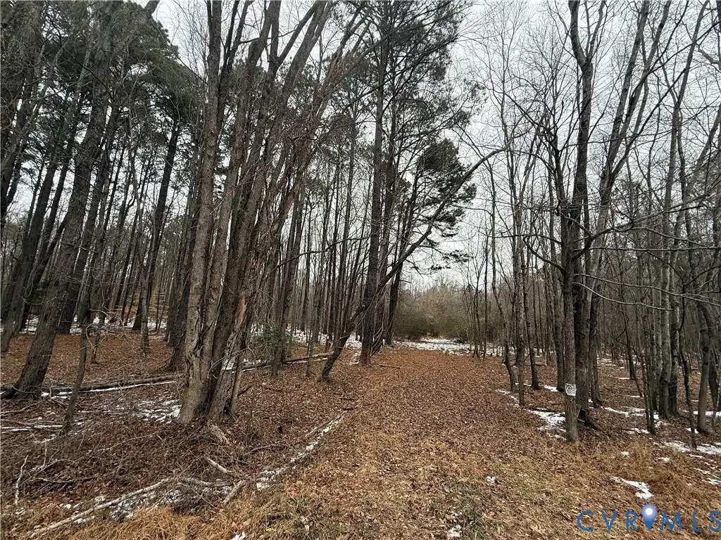16410 John Tyler Memorial Highway, Charles City, VA 23030 - Image #1