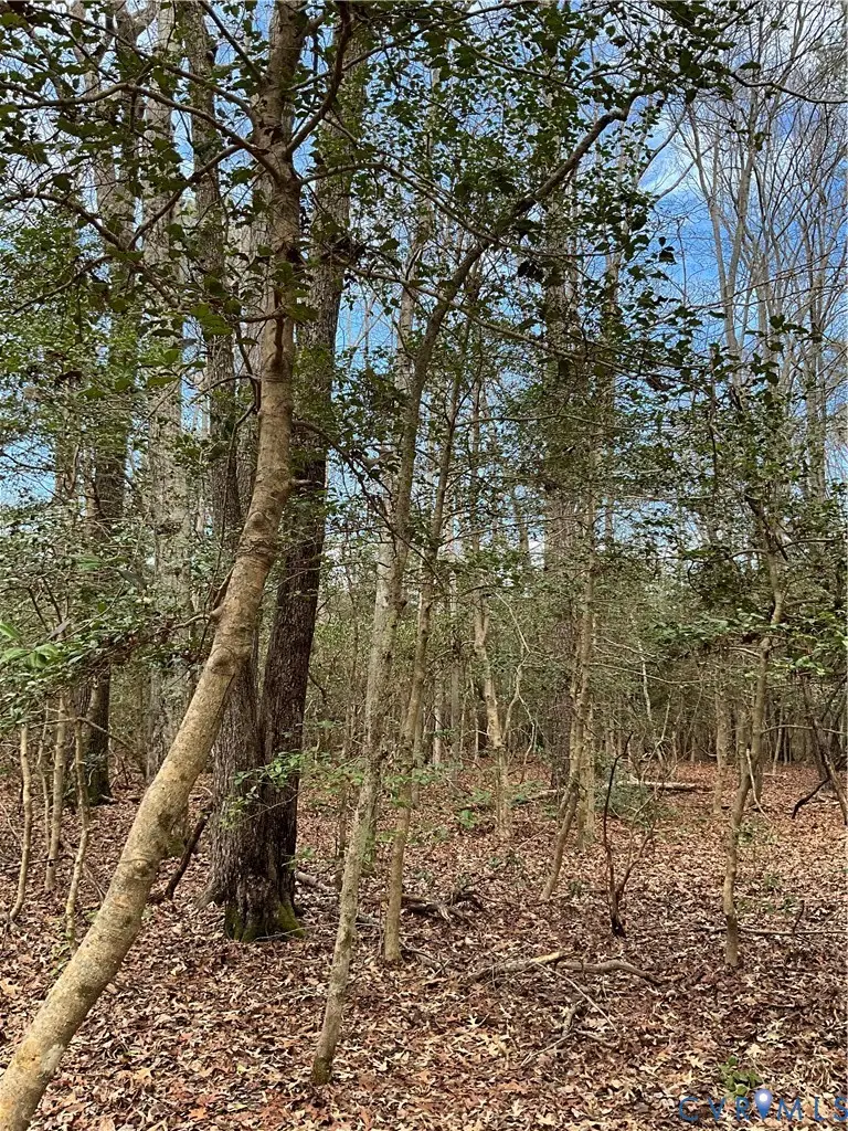 23-3B Riverwood Drive, Lancaster, VA 22503 - #3