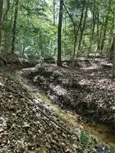 0 Courthouse Road, Dinwiddie, VA 23841 - #2