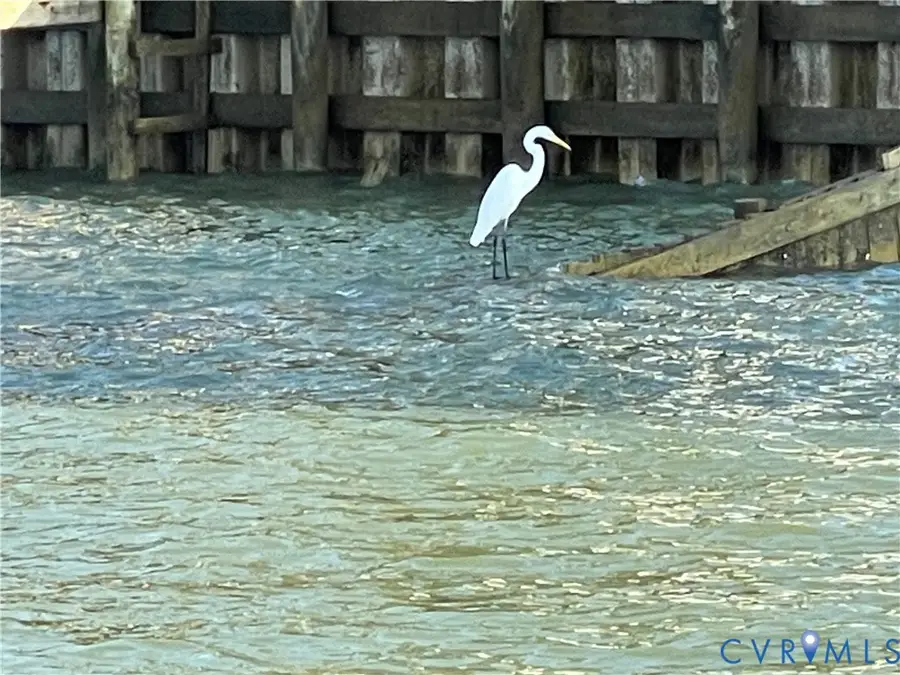 81 Northumberland (.92 Acres) Drive, Lottsburg, VA 22511 - #3