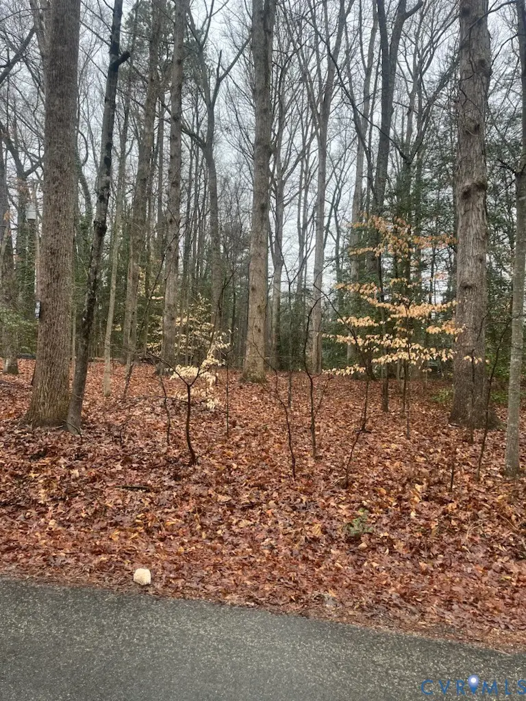 6620 Wilton Road, Chesterfield, VA 23832 - #1