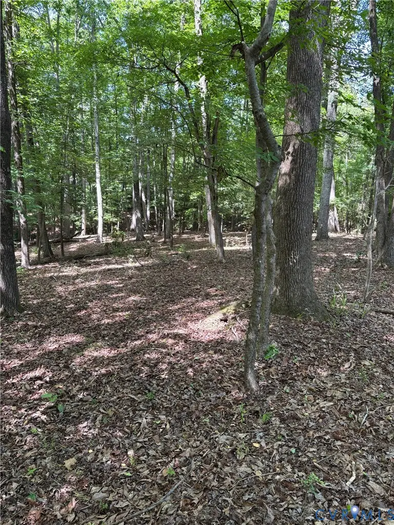 3430 E Old Gun, Midlothian, VA 23113 - #1