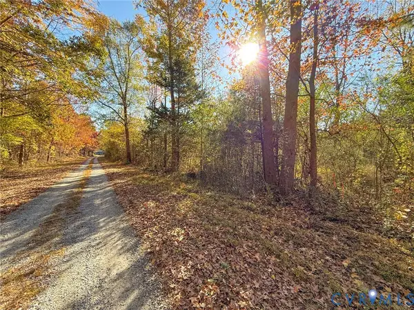 400 Lovely Zion Road, Rawlings, VA 23876