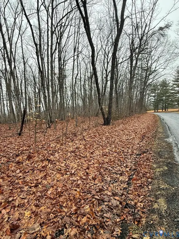 0 Forest Chapel Road, Pamplin, VA 23958