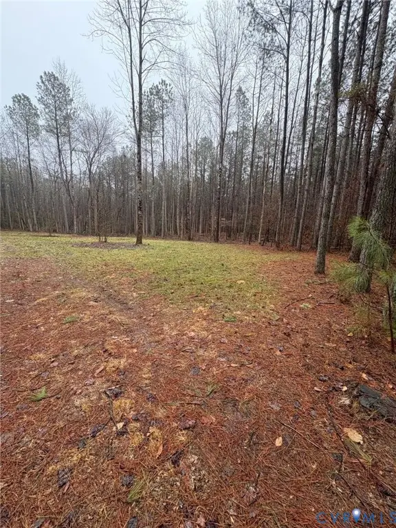 0 and 00 Devils Three Jump Road, Little Plymouth, VA 23091 - #3