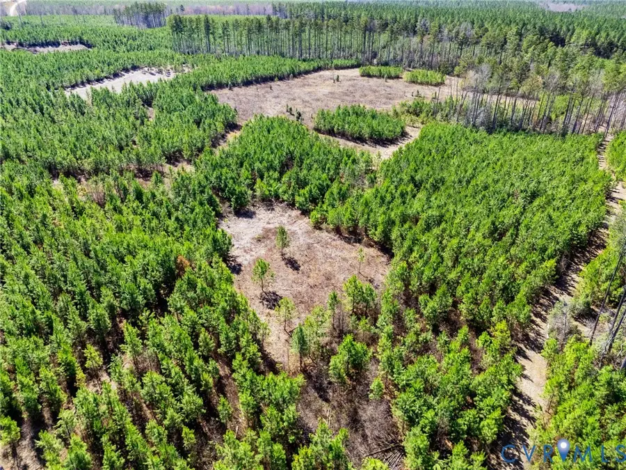 0 Community House Rd, Kents Store, VA 23084 - #3