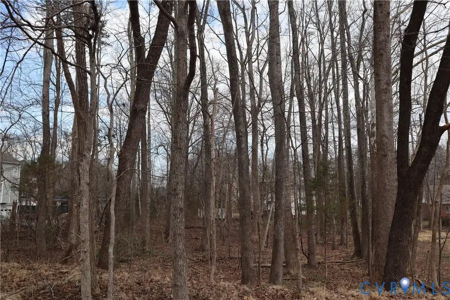 1408 Mill Quarter Rd, Powhatan, VA 23139 - #2