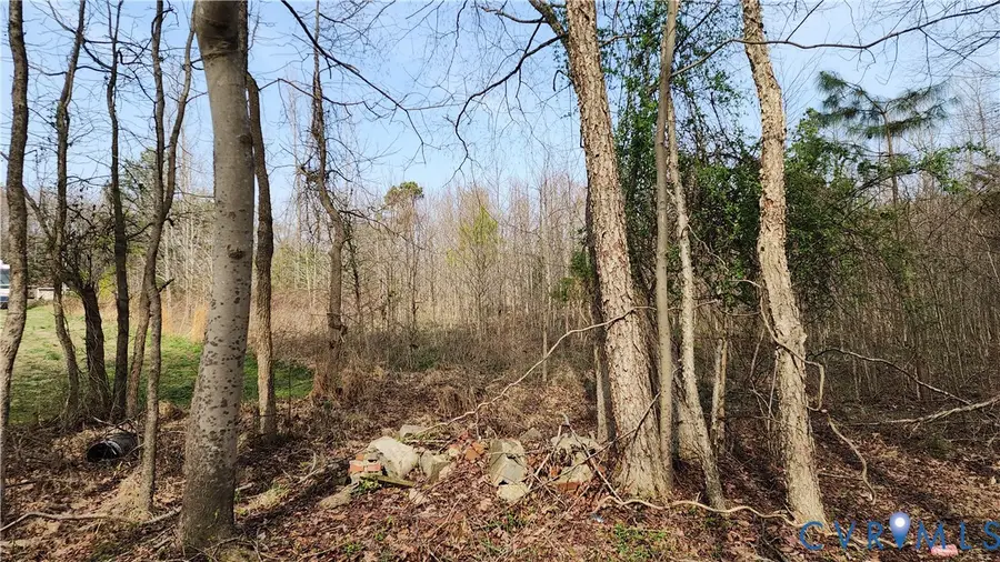 9207 Sliding Hill Road, Ashland, VA 23005 - #3