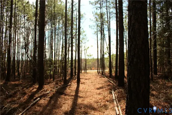 00 Greentown Drive, Lawrenceville, VA 23868