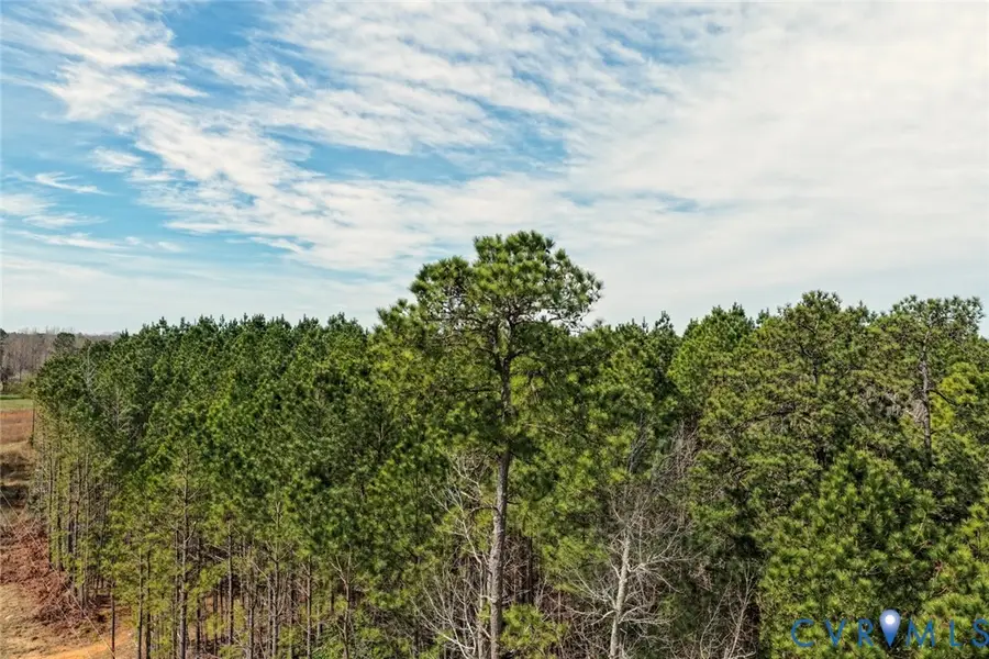 00 Greentown Drive, Lawrenceville, VA 23868 - #2