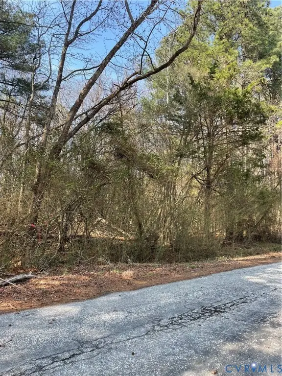 0 Laurel Park Road, Central, VA 22560 - #2