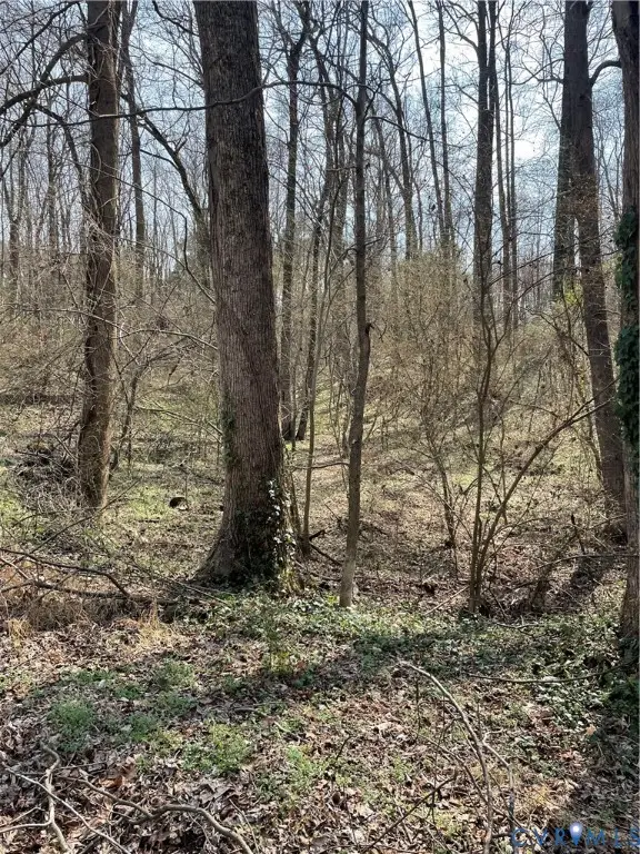 0 Laurel Park Road, Central, VA 22560 - #3