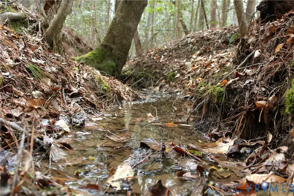 TBD Greentown Drive, Lawrenceville, VA 23868