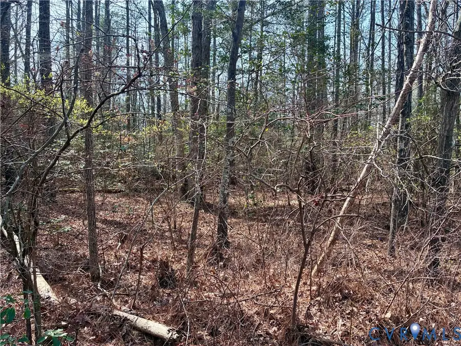 15000 Bradley Bridge Road, Chesterfield, VA 23838 - #2