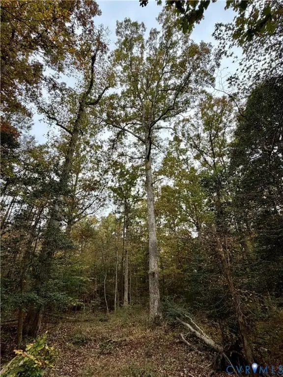 15000 Bradley Bridge Road, Chesterfield, VA 23838 - #3