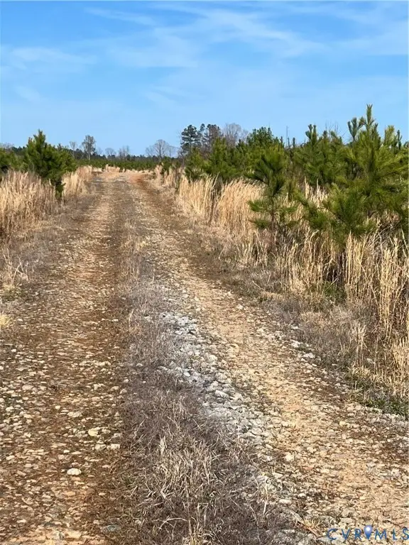 0 Hobbs Mill Road, Wilsons, VA 23894 - #2