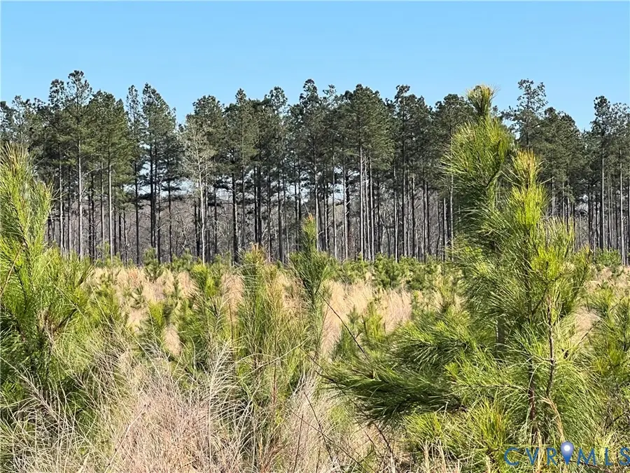 0 Hobbs Mill Road, Wilsons, VA 23894 - #3