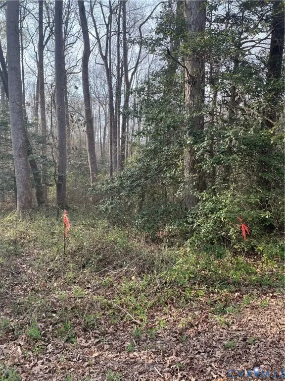 1600 N Washington Street, Henrico, VA 23075 - #3