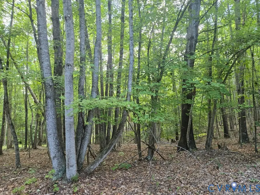 906 Equestrian Trail Road, New Canton, VA 23123 - #2