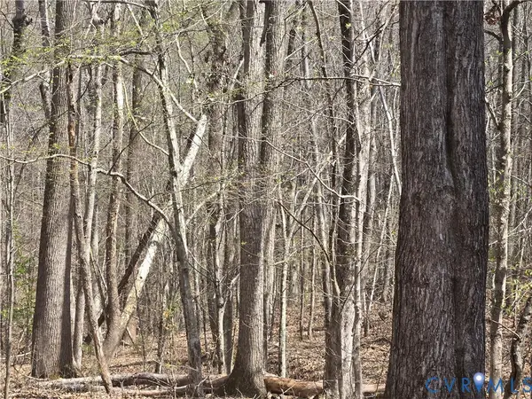 0 Equestrian Trail Road, New Canton, VA 23123