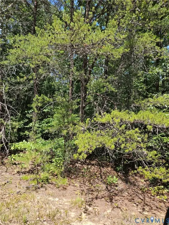 4809 W James Anderson Highway, Gladstone, VA 24553 - #3