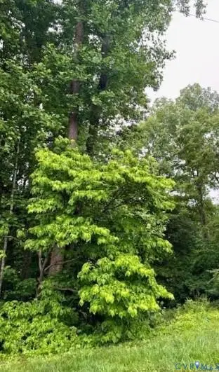 142B Tennis Lane, Ruther Glen, VA 22546 - #3