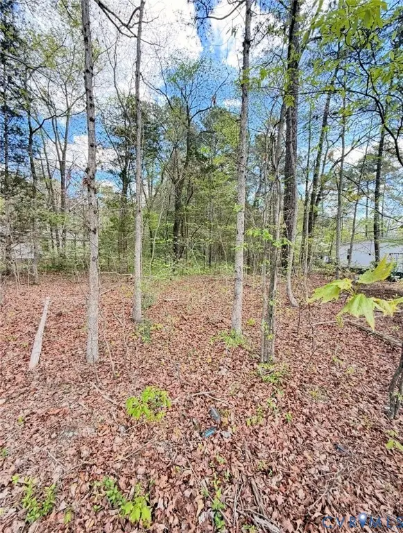 0 Cedar Grove Road, Lawrenceville, VA 23868 - #2