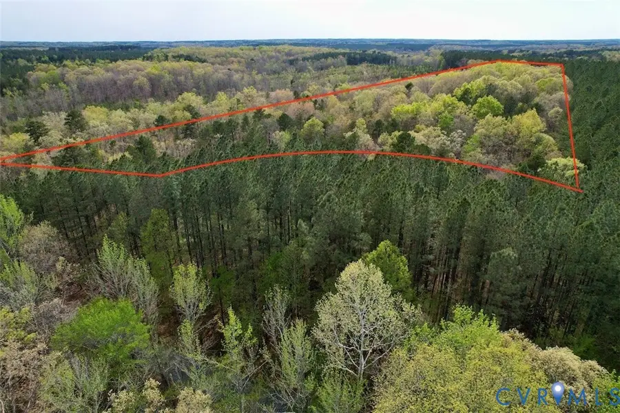 3300 Plank Road, Kenbridge, VA 23944 - #3