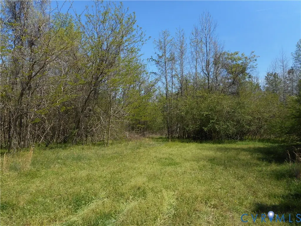 6016 Grubby Road, Wilsons, VA 23894 - #1