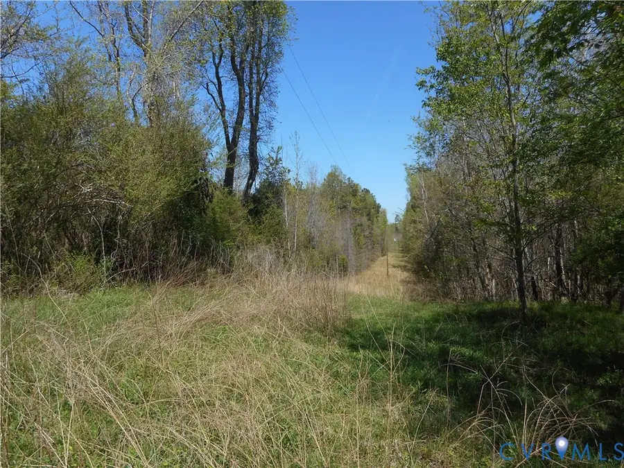 6016 Grubby Road, Wilsons, VA 23894 - #2