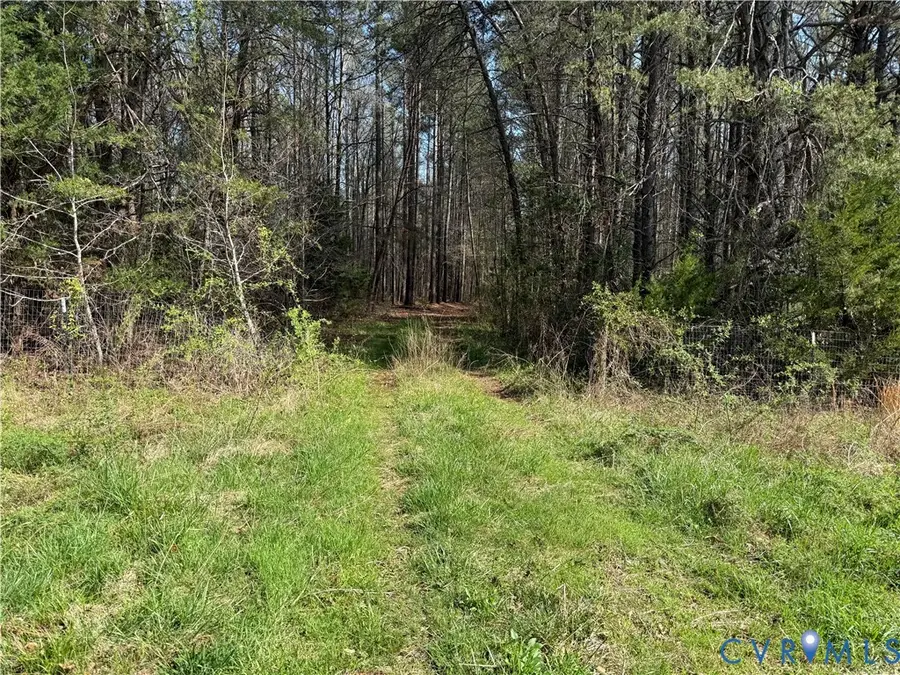 17226 Parsons Road, Beaverdam, VA 23015 - #2